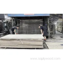 Marine Laminated Veneer Shuttering Plywood